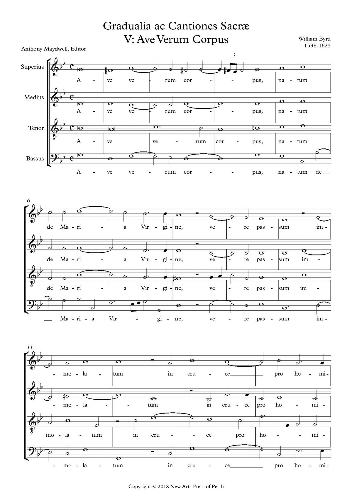 Ave Verum Corpus