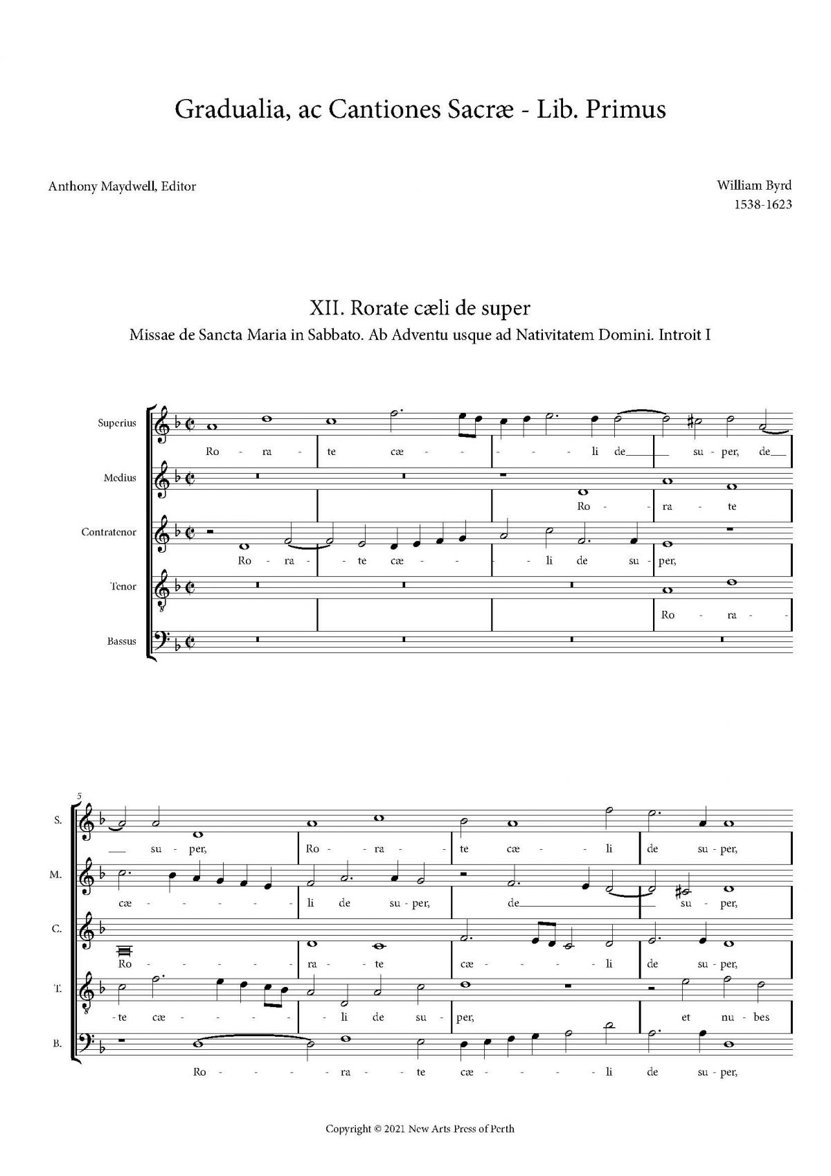 Rorate Caeli